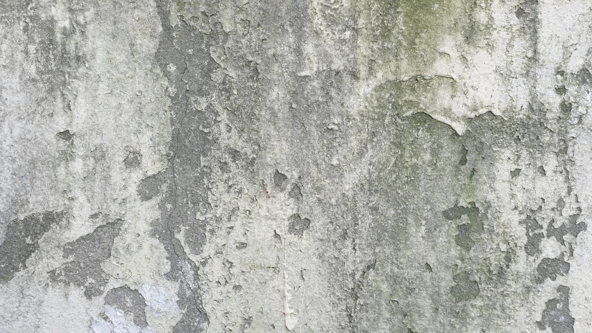 a closeup view of an old gray and white stucco wall