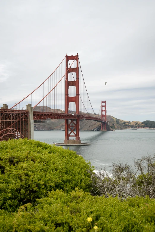 the bay bridge in san francisco is very tall