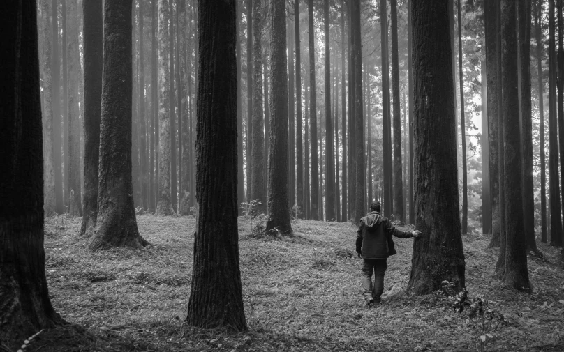 a black and white image of a person walking through a forest
