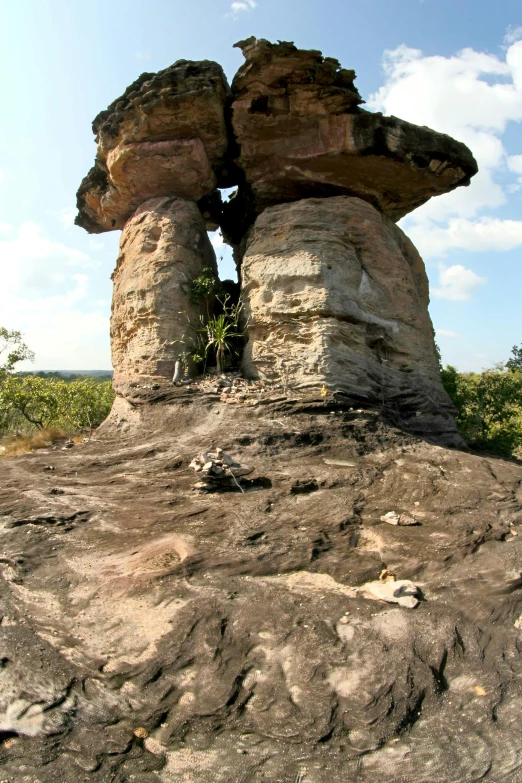 a large mushroom like object is sitting on a rock