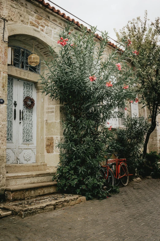 this is a home with a flower garden and an old bike