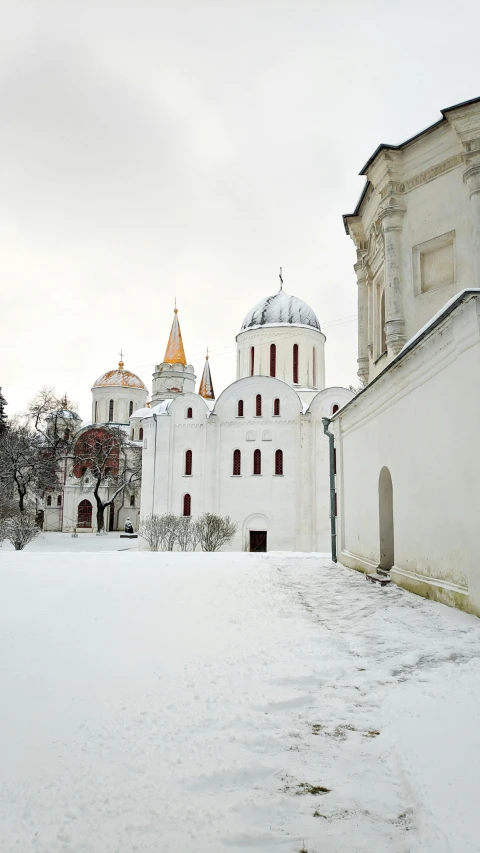 white buildings and trees and snow covered ground