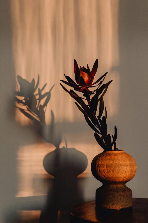 a wooden vase holding a red flower in the shadows