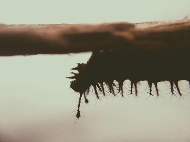 a close up of a person's hand on top of soing