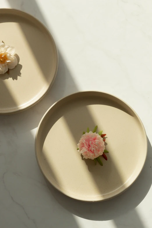 two plates with small flowers placed in them