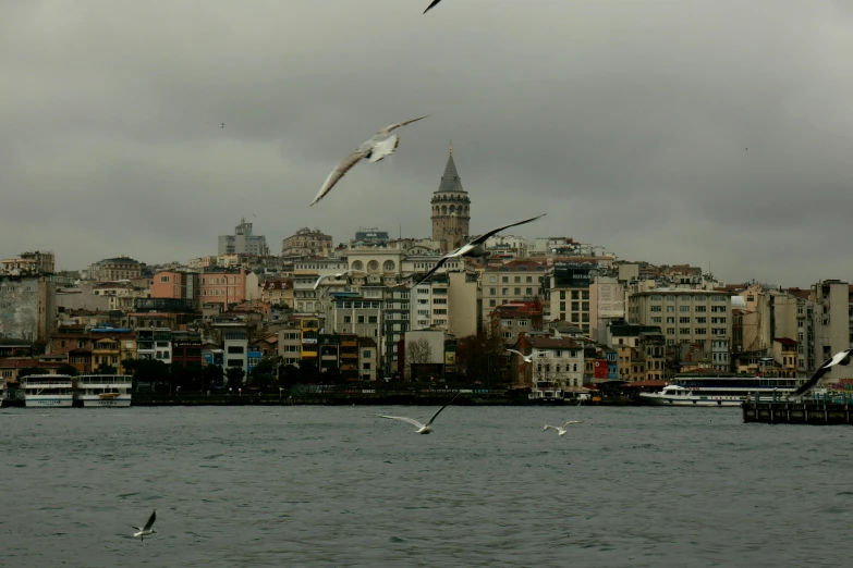 seagulls flying over a city and water in the foreground