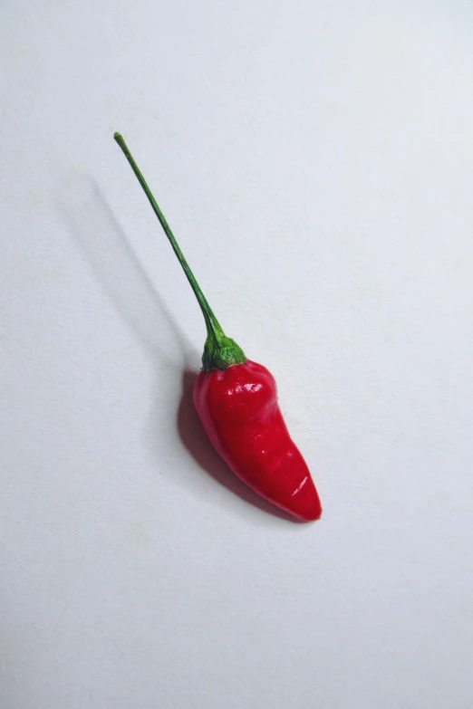 a single  pepper sitting on top of a white table