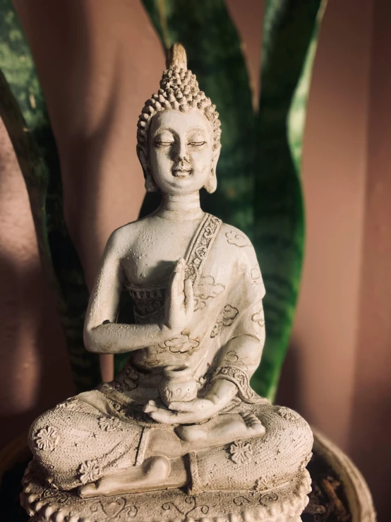 the small buddha statue is near a potted plant
