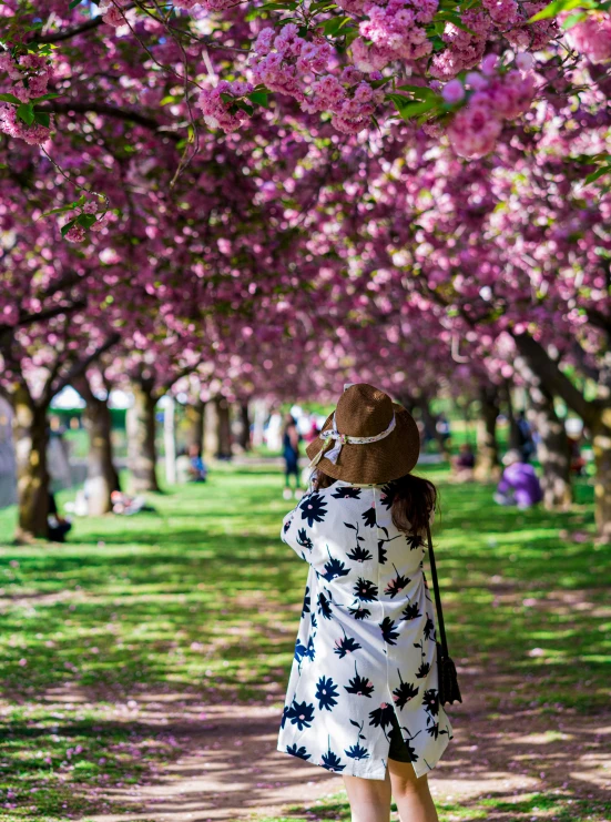 the back of a woman looking at trees with flowers