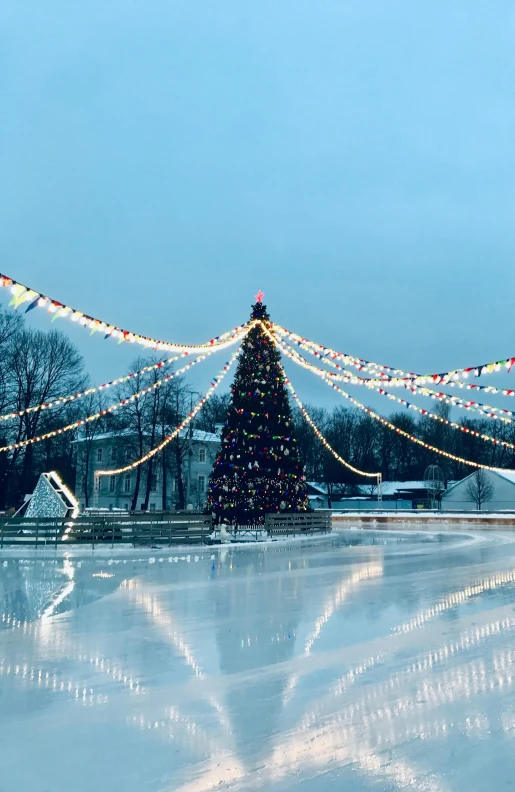 a tree is seen in the center of an ice rink