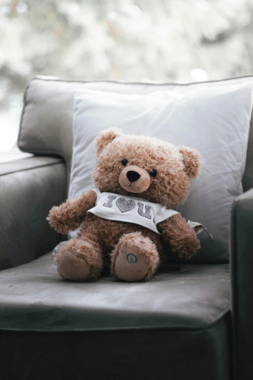 a teddy bear on a pillow with a white shirt