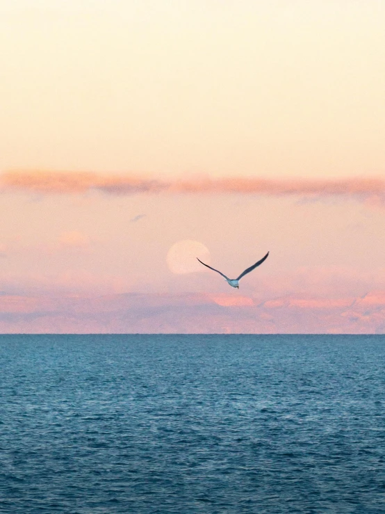 there is a bird flying over the water