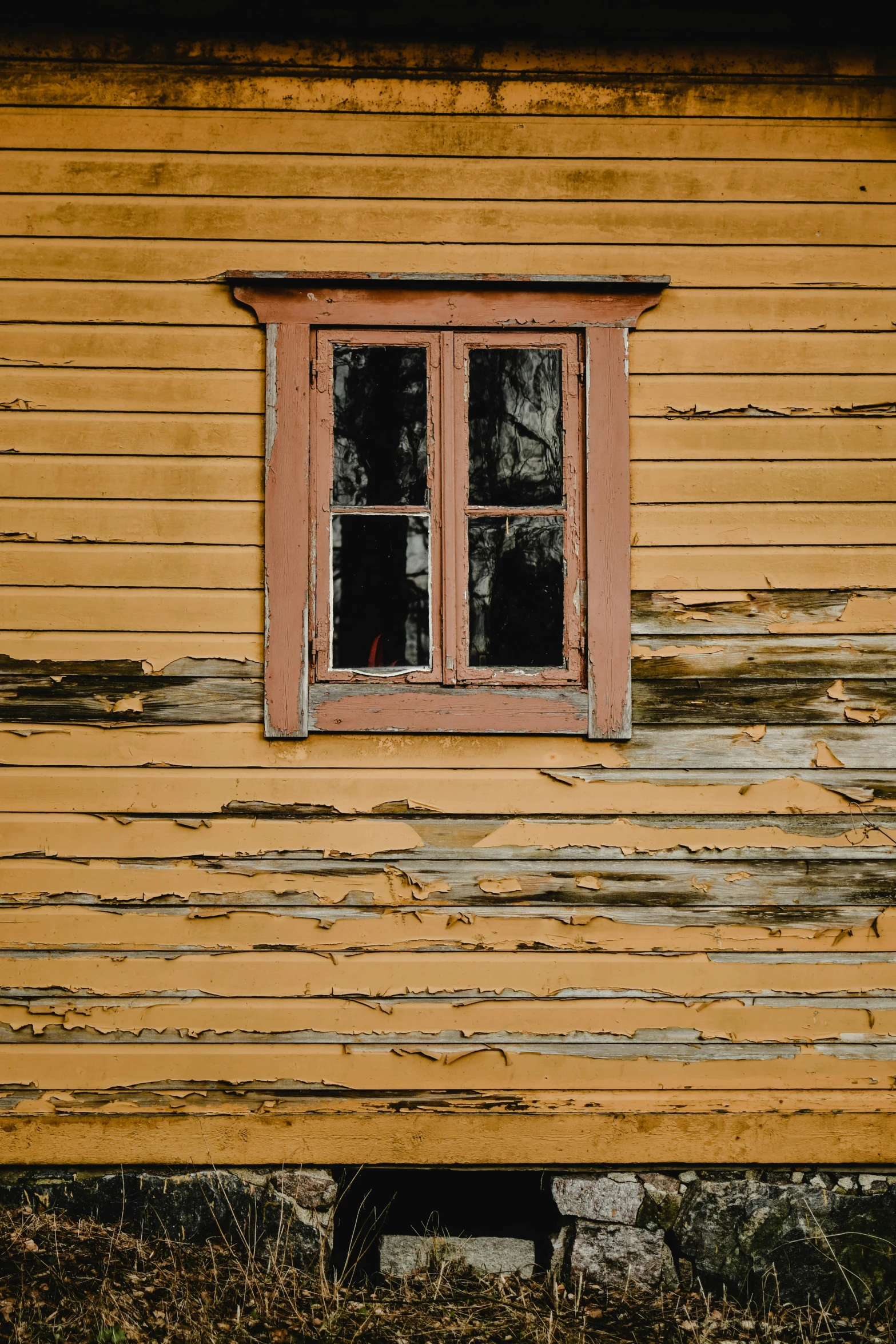 a cat standing by a window of an old house