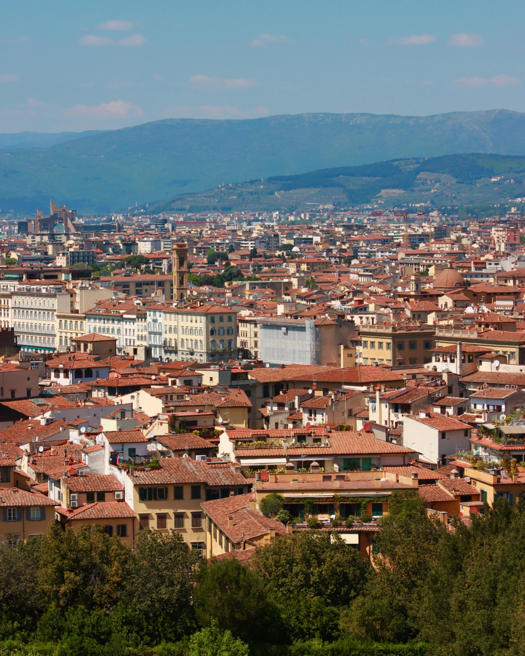 the skyline is very large and many houses are in the distance