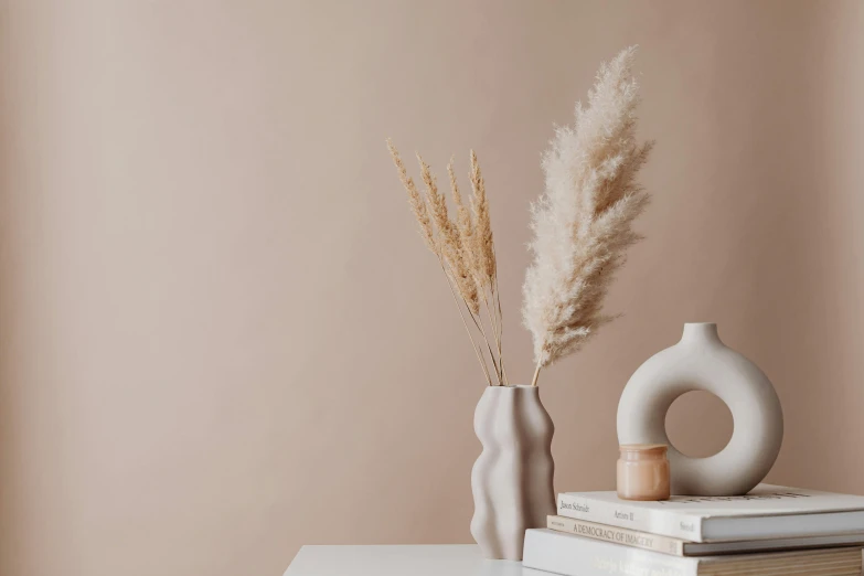 the white vase sits next to the dried pamyllis