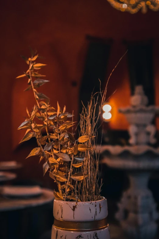 a plant in a vase sitting on top of a table