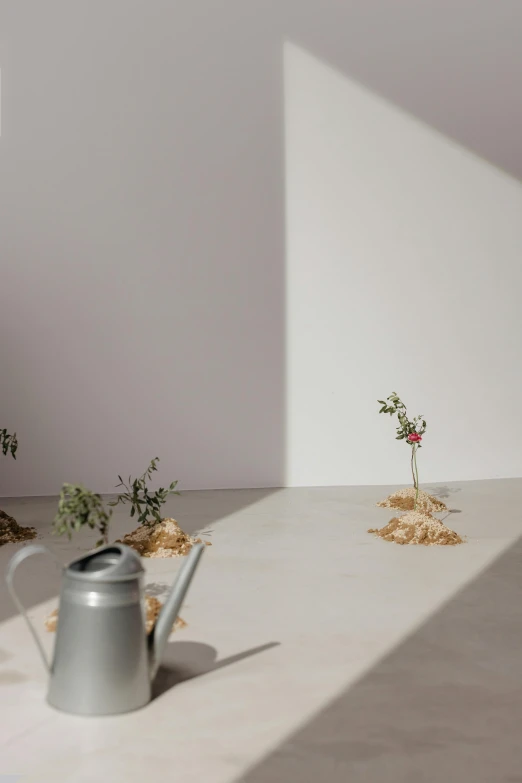 a watering can filled with dead plants and dirt