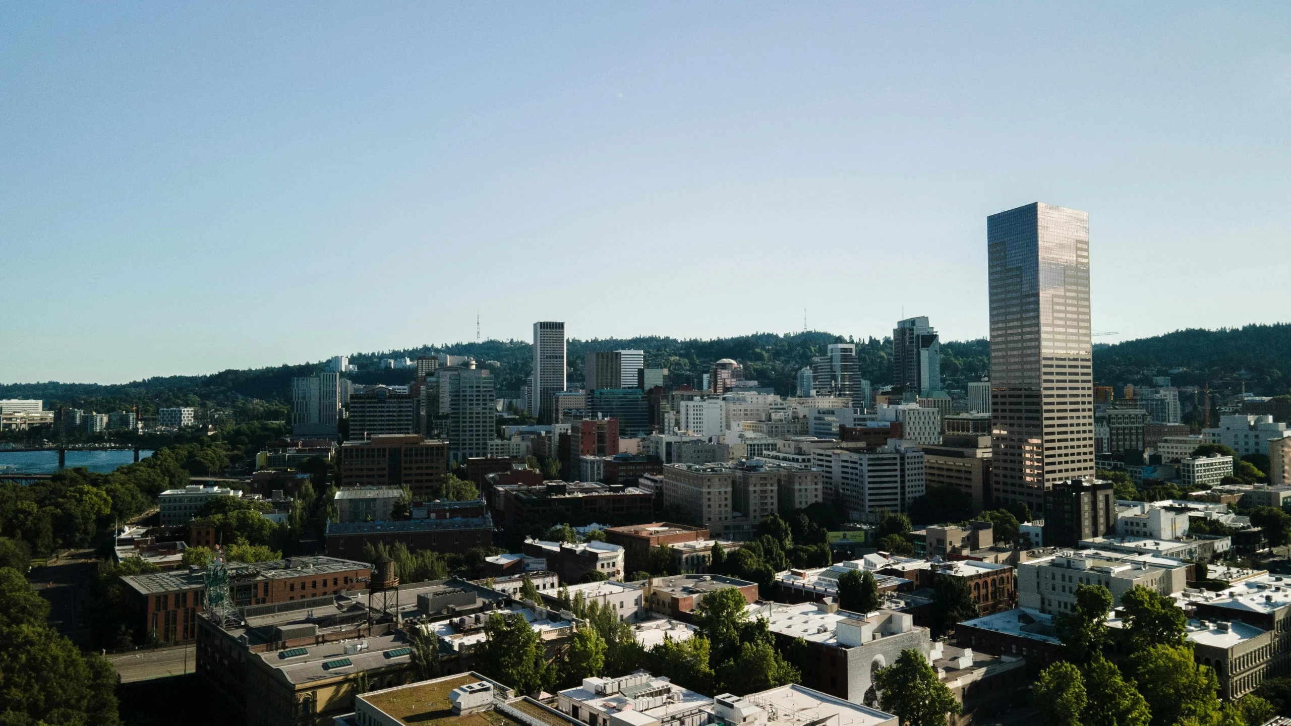 a city skyline view with a large tower that towers into the sky