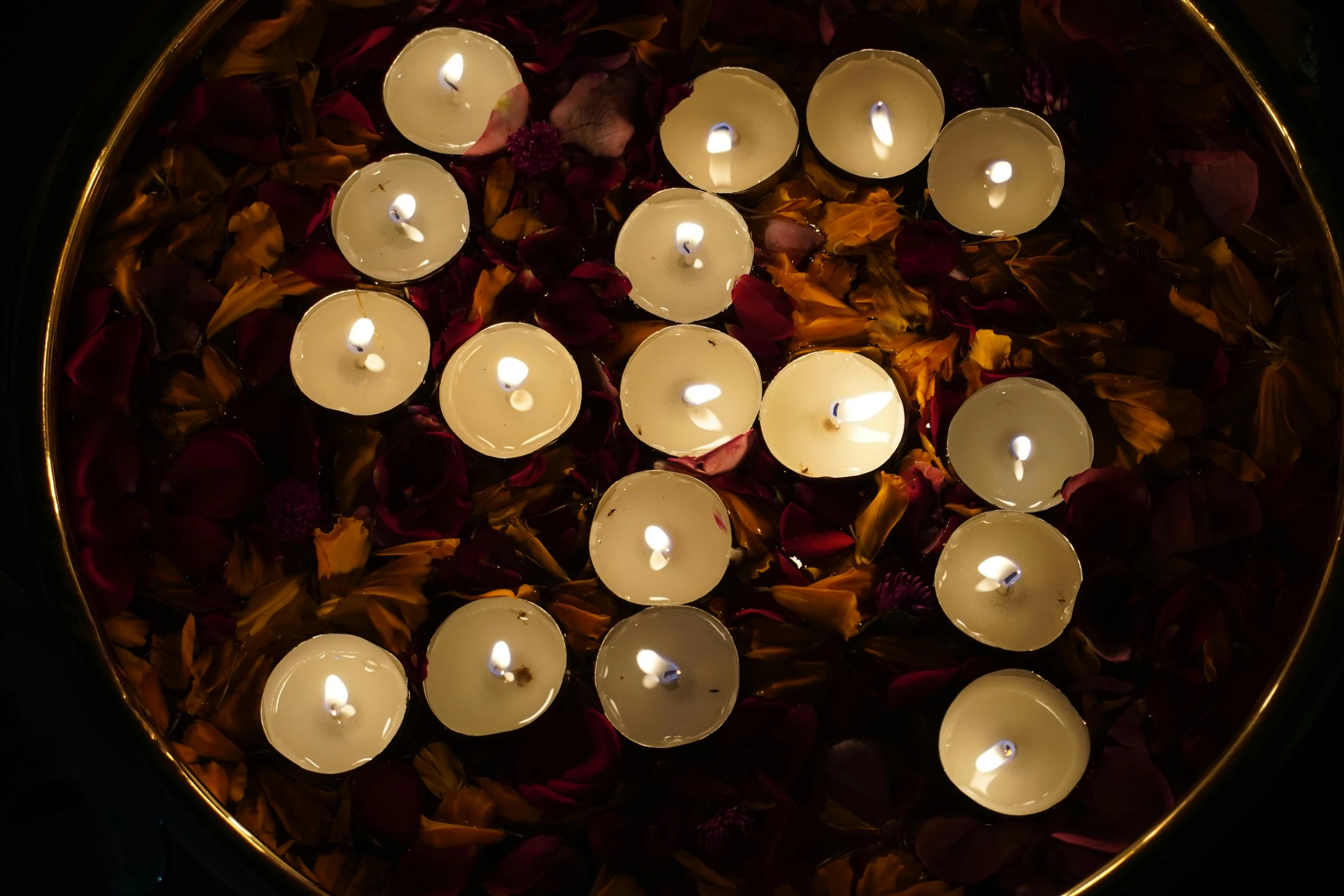 a group of white lit candles are floating down some flower petals