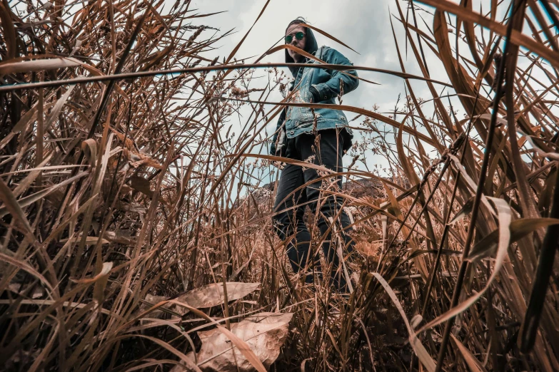 a man is standing in a field of dead plants