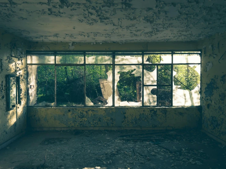 an abandoned building filled with animals in front of an open window