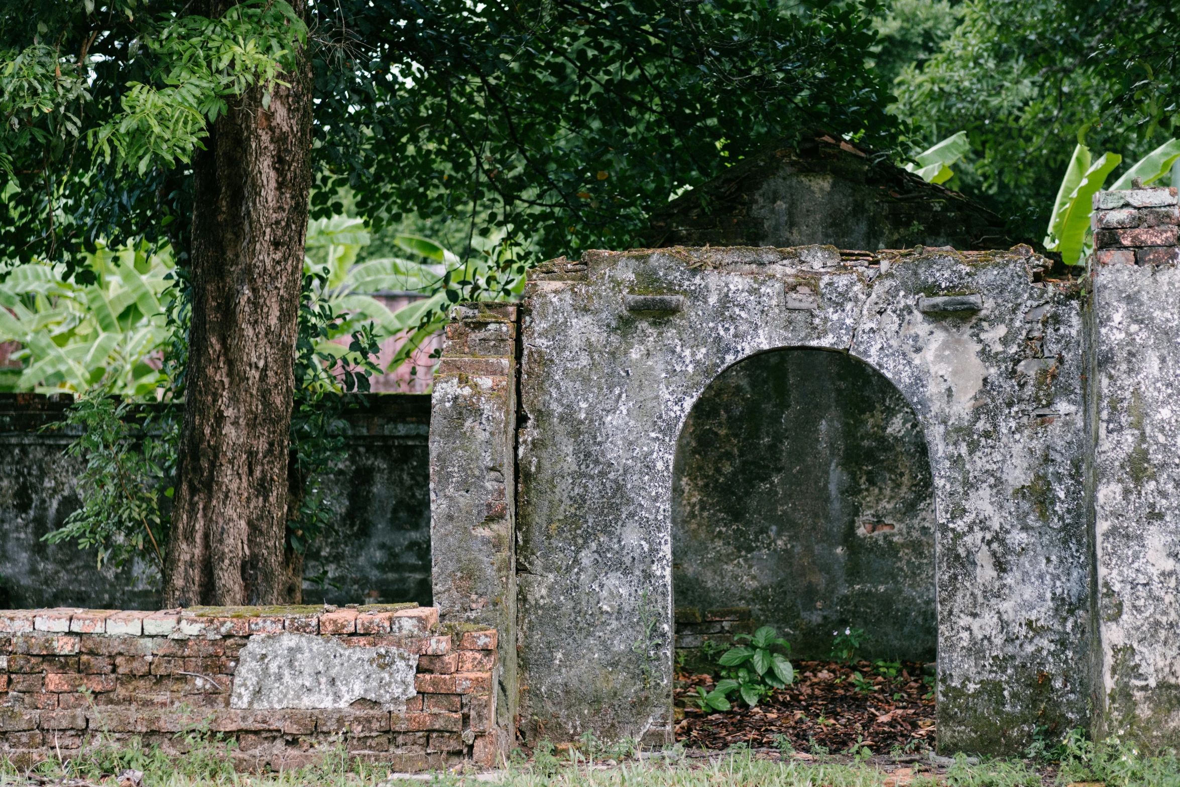 an old well with grass and rocks near trees