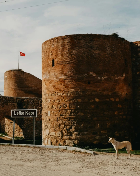 a dog is standing in front of an old brick castle