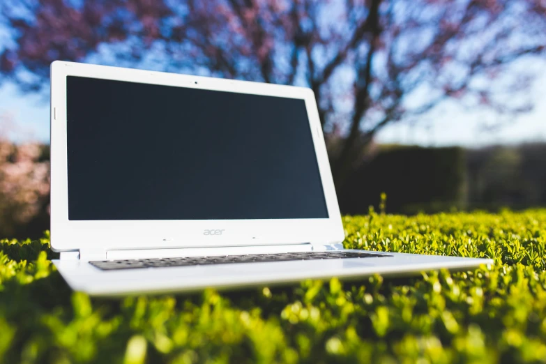 a laptop computer sitting in some grass near some trees