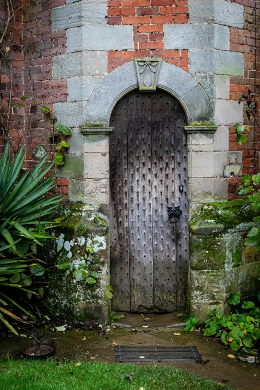 an old wooden door with brick wall, grass, and plants