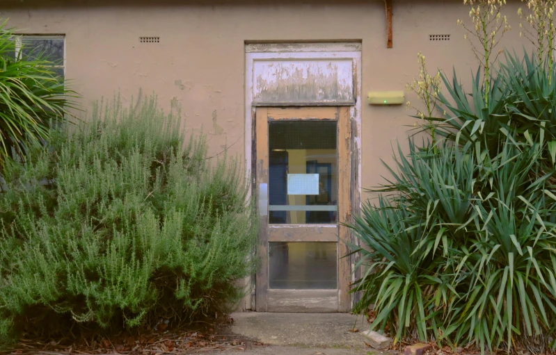 a building with door and window surrounded by shrubs