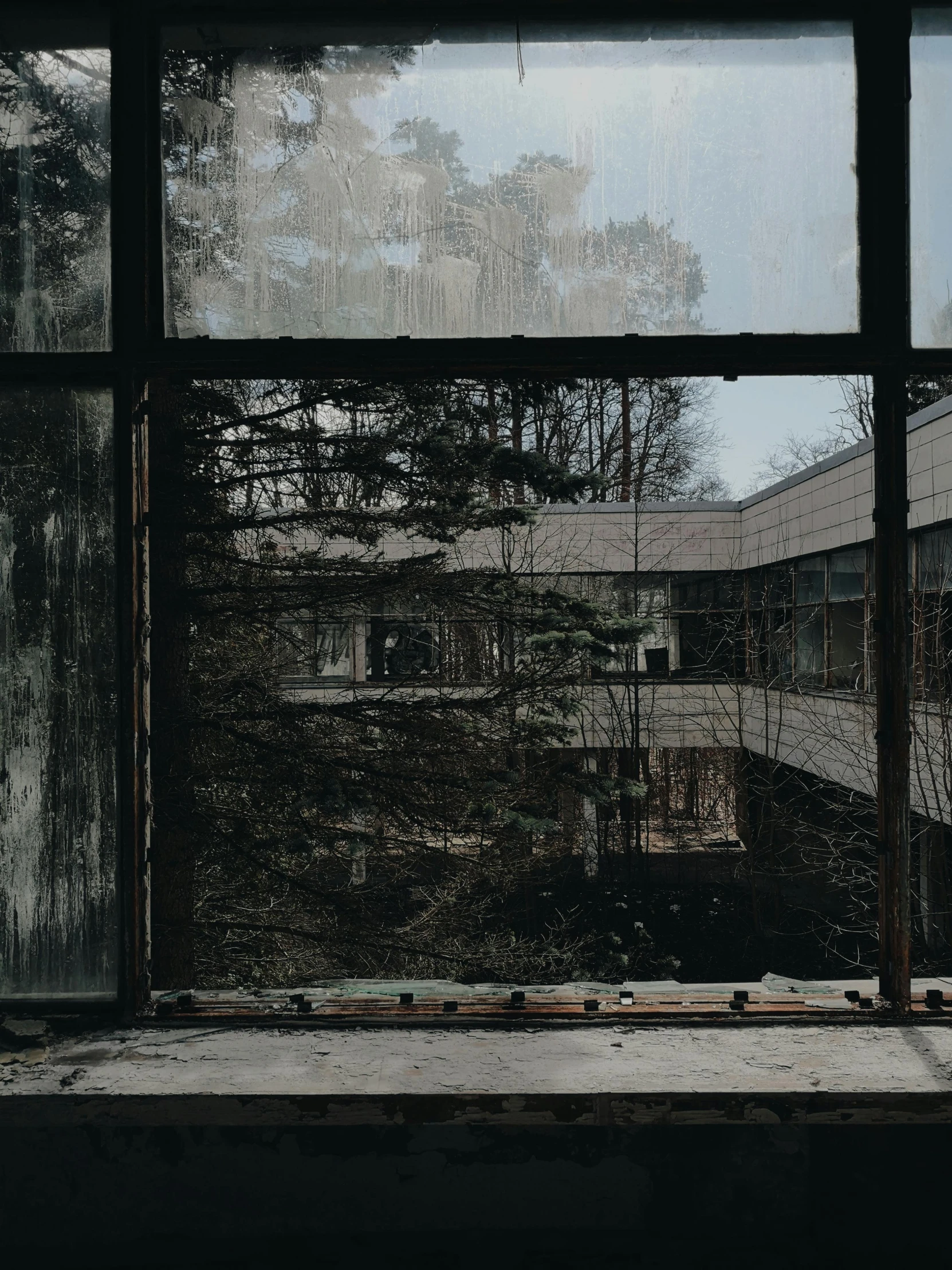 a small window view looking out to the street