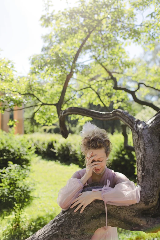 a person sits in a tree with a cell phone