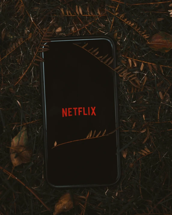 a black phone laying on the ground next to brown leaves