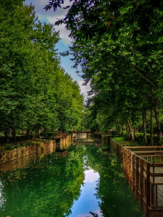 a river flowing between trees and buildings