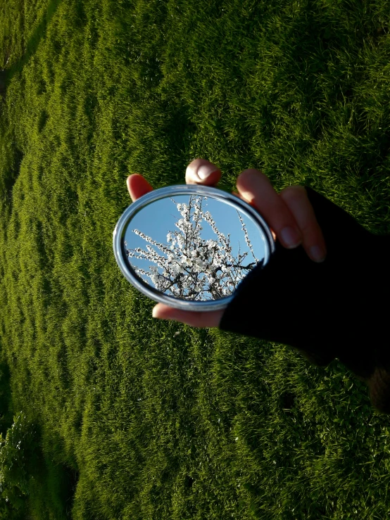 a person holds a frisbee in the middle of a field