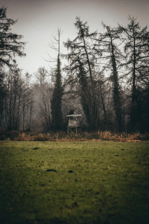 a view of the back of a wooden bench and some trees in the back ground