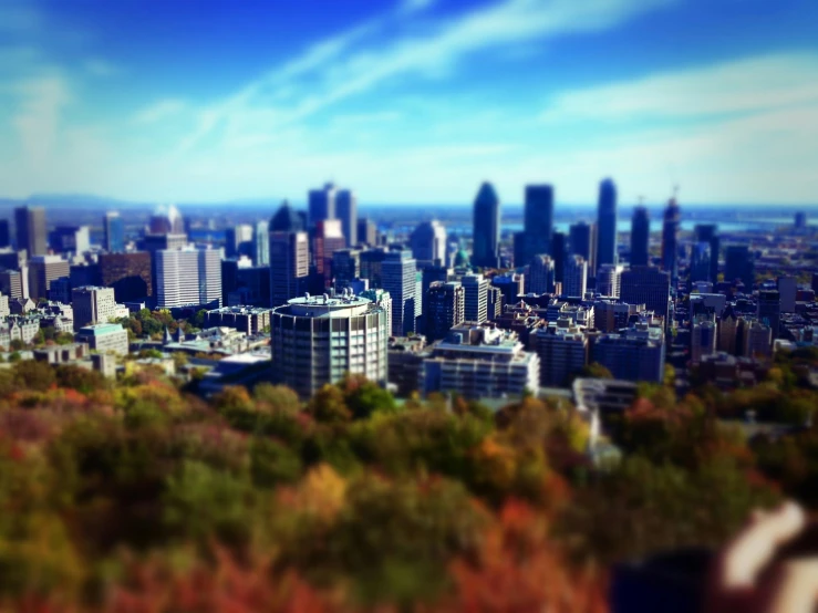 an aerial view of the city and the trees around it