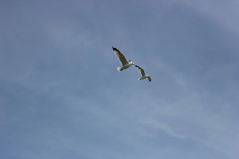 a large airplane flying high in the air