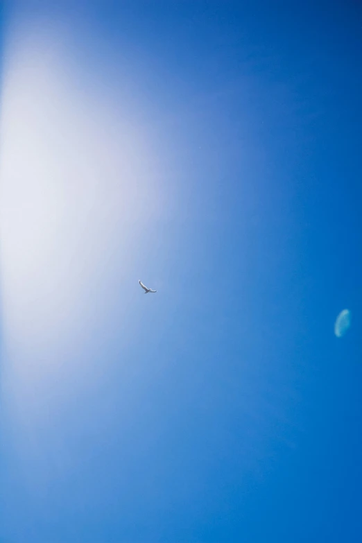 a jet airliner flying in a blue sky