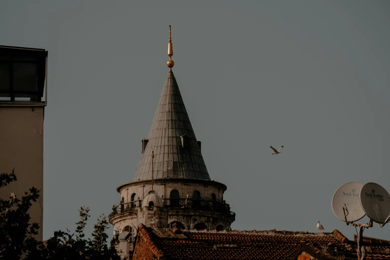 a bird flies near a clock tower and other buildings