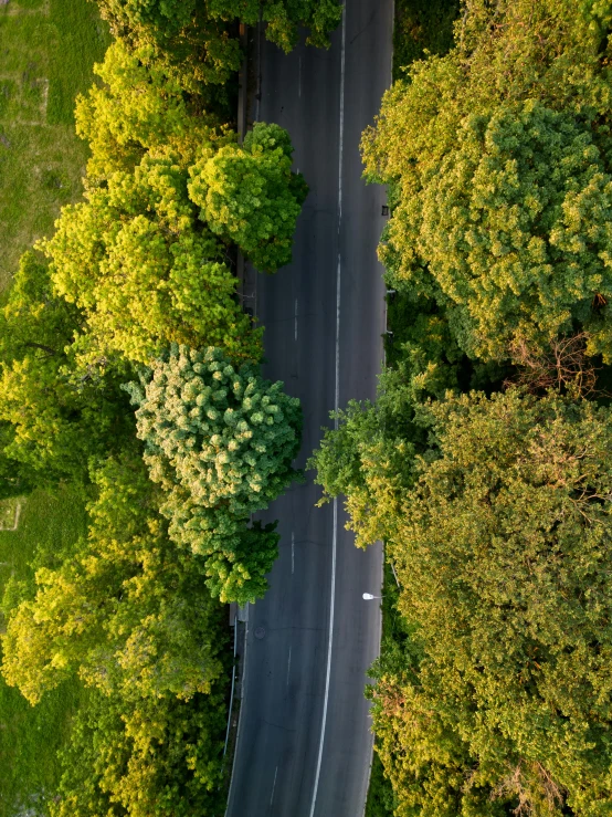 an aerial view of a road with lots of trees around