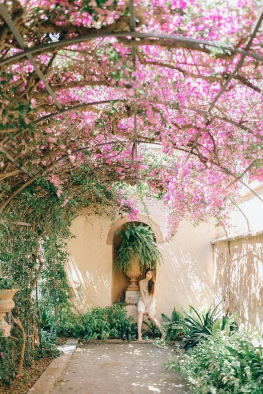 a woman sitting in the shade under pink flowers