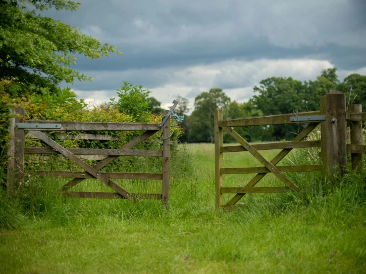 a wooden gate and horse standing behind it