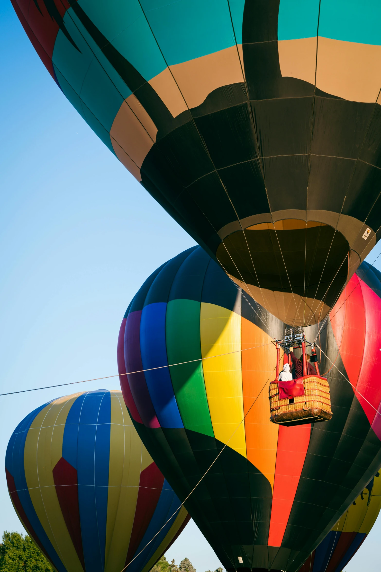 many  air balloons in the sky near one another