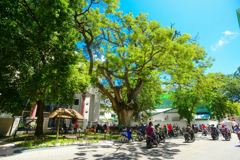 a crowd of people on scooters riding down the road