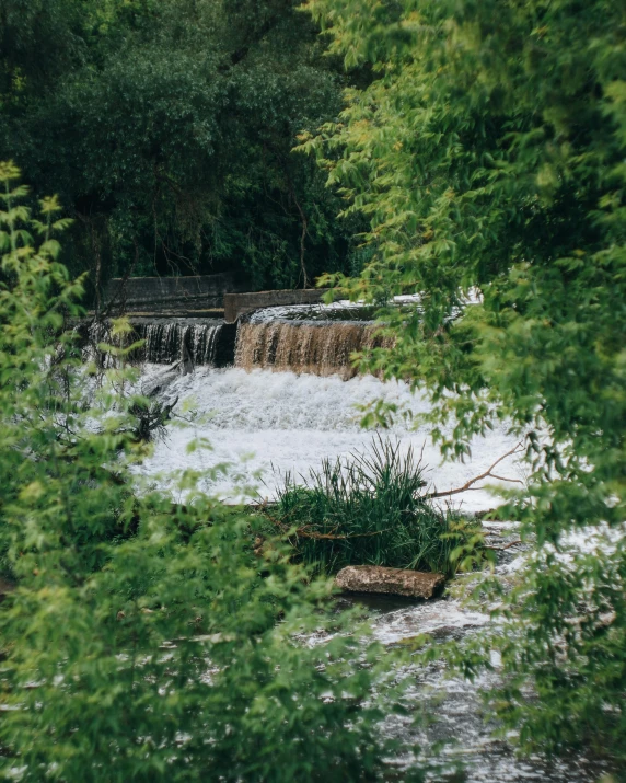 a view of a small waterfall from behind some trees