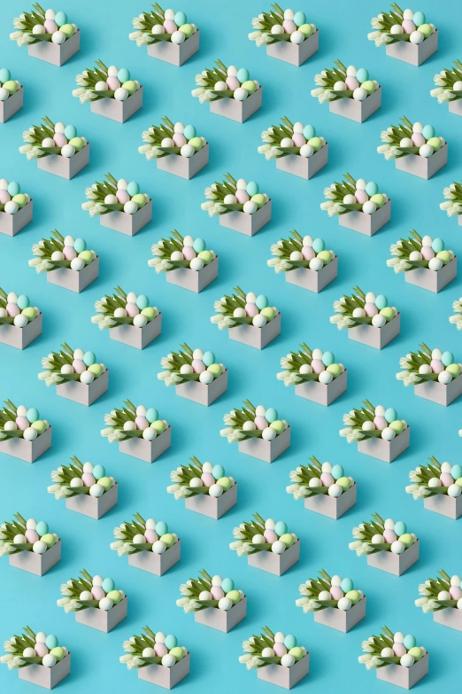 rows of white cubes with plants growing out of them