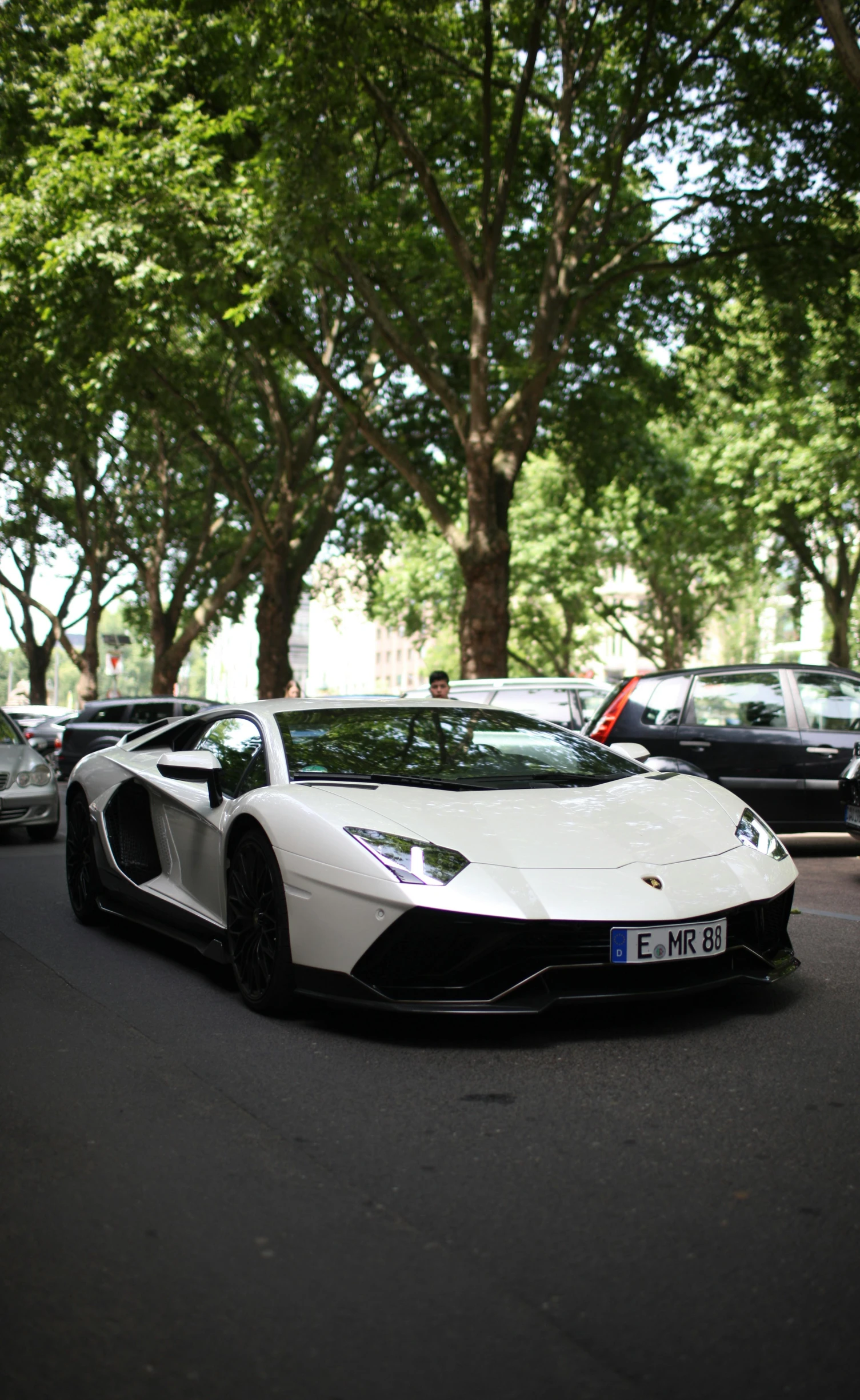 this is a very white and black exotic car