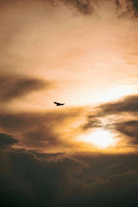 an airplane flying high in the cloudy sky