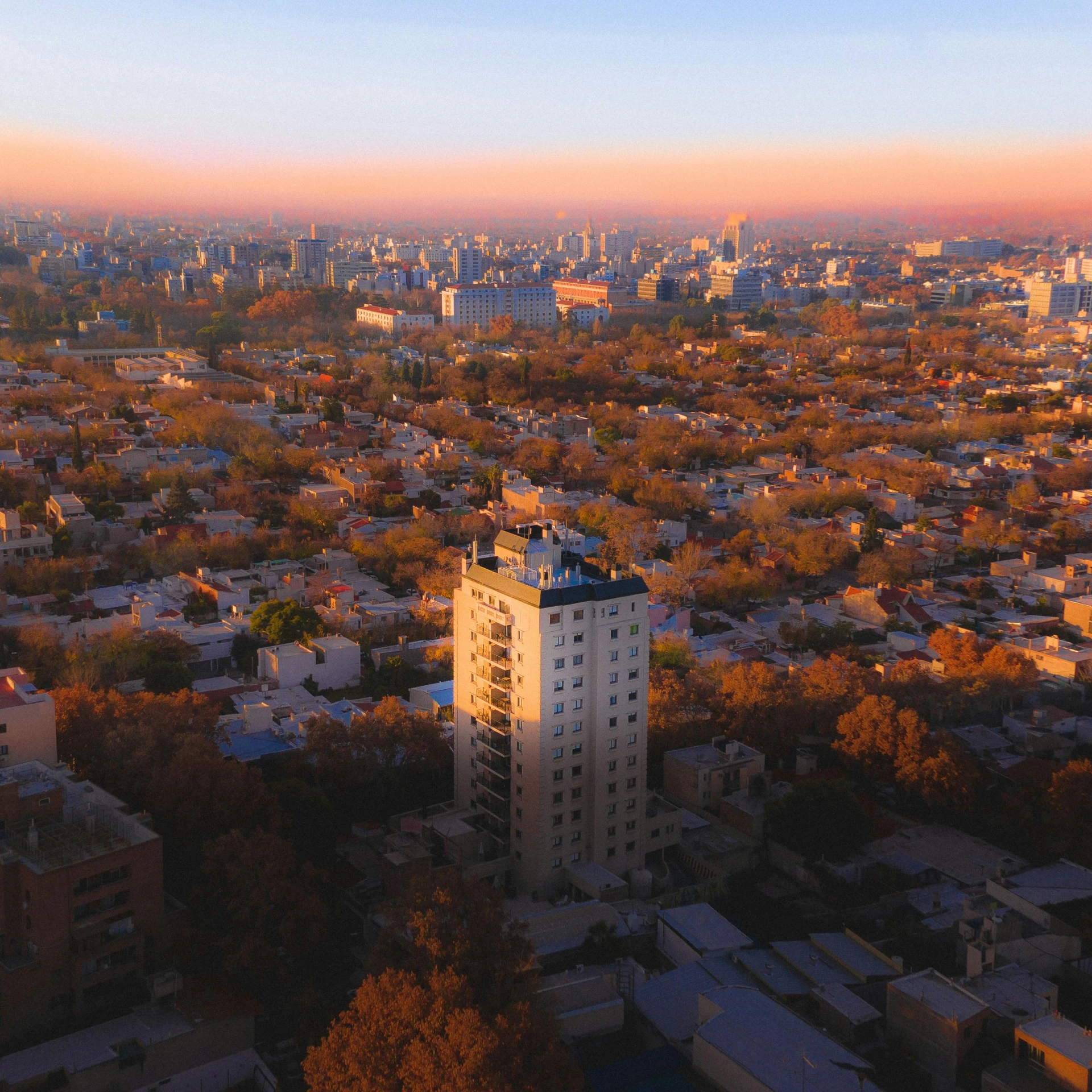 view from an airplane over a city with tall buildings